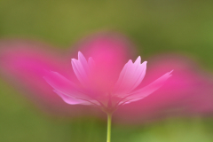 Cosmos-09